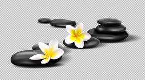 Vector realistic stones on transparent background. Pebbles with Plumeria flowers. Template for Spa salon, cosmetic vector illustration Vector realistic stones on transparent background. Pebbles with Plumeria flowers. Template for Spa salon, cosmetic vector illustration
