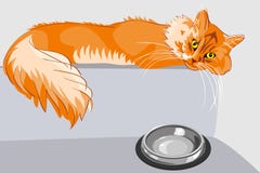 Vector Red Fluffy Tabby Cat With Yellow Eyes Stock Photography Vector Red Fluffy Tabby Cat With Yellow Eyes Stock Photography