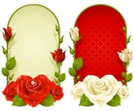 Vector rose frames isolated on white background vector illustration Vector rose frames isolated on white background vector illustration
