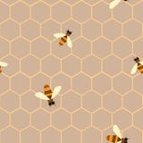 Vector Seamless pattern with bee and honeycomb . Modern abstract honey design for paper, fabric, interior decor and other users vector illustration Vector Seamless pattern with bee and honeycomb . Modern abstract honey design for paper, fabric, interior decor and other users vector illustration