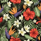 Vector seamless pattern of green tropical leaves with plumeria, strelitzia and hibiscus flowers on black background