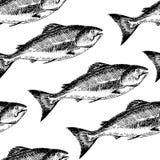 VEctor seamless pattern of seafood. Isolated salmon. Hand drawn engraved icons. Delicious food menu objects. stock illustration VEctor seamless pattern of seafood. Isolated salmon. Hand drawn engraved icons. Delicious food menu objects. stock illustration