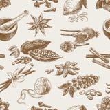 Vector seamless pattern with spices. Repeating vector illustration Vector seamless pattern with spices. Repeating vector illustration