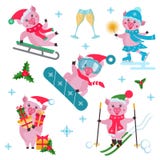 Vector set of flat Christmas pig in different situations. vector illustration Vector set of flat Christmas pig in different situations. vector illustration