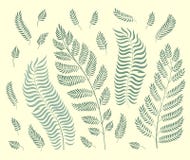 Vector set of garden herbs isolated on retro green background vector illustration Vector set of garden herbs isolated on retro green background vector illustration