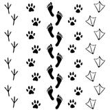 Vector Set Of Human And Animal, Bird Footprints Icon. Collection Of Bare Human Foots, Cat, Dog, Bird, Chicken, Hem, Crow, Duck Foo Stock Image Vector Set Of Human And Animal, Bird Footprints Icon. Collection Of Bare Human Foots, Cat, Dog, Bird, Chicken, Hem, Crow, Duck Foo Stock Image