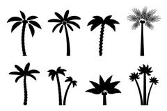 Vector set of simple palm trees. Royalty Free Stock Photos Vector set of simple palm trees. Royalty Free Stock Photos
