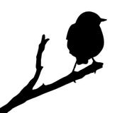 Vector Silhouette Of The Bird Stock Images
