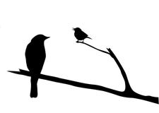 Vector Silhouette Of The Bird Stock Photo