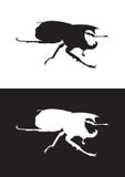 Vector silhouette of rhinoceros beetle– Stock Illustration stock illustration Vector silhouette of rhinoceros beetle– Stock Illustration stock illustration