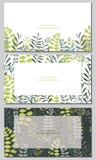 Set of field herbs, flowers. Set of visiting card design royalty free illustration Set of field herbs, flowers. Set of visiting card design royalty free illustration