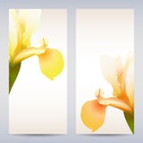 Vector Templates Iris Graphic Designs. Royalty Free Stock Photography Vector Templates Iris Graphic Designs. Royalty Free Stock Photography