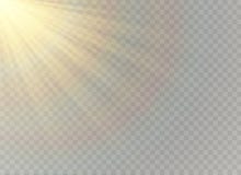 Vector transparant de gloed lichteffect van de zonlicht speciaal lens Kerstmis abstract patroon Het fonkelen magische stofdeeltje royalty-vrije illustratie Vector transparant de gloed lichteffect van de zonlicht speciaal lens Kerstmis abstract patroon Het fonkelen magische stofdeeltje royalty-vrije illustratie