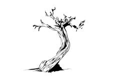 Vector Tree Royalty Free Stock Image