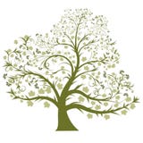 Vector Tree Royalty Free Stock Images