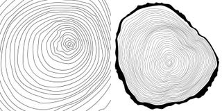 Vector tree rings background and tree log cutted stock illustration Vector tree rings background and tree log cutted stock illustration