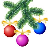 Vector winter coniferous tree branch decorated with colorful christmas ornaments on white background vector illustration Vector winter coniferous tree branch decorated with colorful christmas ornaments on white background vector illustration