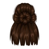 Vector woman hairstyle back view vector illustration Vector woman hairstyle back view vector illustration