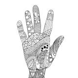 Vector Zentangle Palm Stock Images Vector Zentangle Palm Stock Images