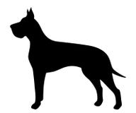 Vector zwart silhouet van een Great dane-hond royalty-vrije illustratie Vector zwart silhouet van een Great dane-hond royalty-vrije illustratie