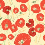 Vector безшовная картина с красными маками, белыми маргаритками, голубыми cornflowers и ушами пшеницы Стоковое Изображение RF Vector безшовная картина с красными маками, белыми маргаритками, голубыми cornflowers и ушами пшеницы Стоковое Изображение RF