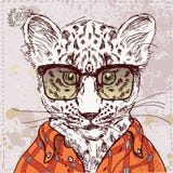 Vector леопард битника с стеклами и костюмом внутри Стоковые Изображения RF Vector леопард битника с стеклами и костюмом внутри Стоковые Изображения RF