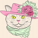 Vector портрет крупного плана великобританского битника кота иллюстрация вектора Vector портрет крупного плана великобританского битника кота иллюстрация вектора