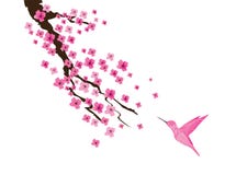 Vectorcherry blossom and pink hummingbird Stock Fotografie Vectorcherry blossom and pink hummingbird Stock Fotografie