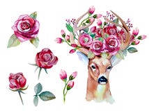 Vectorwaterverfhand getrokken bloemenreeks met herten vector illustratie Vectorwaterverfhand getrokken bloemenreeks met herten vector illustratie