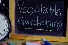Vegetable gardening on phrase colorful handwritten on blackboard