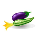 Vegetable Set. Vector Illustration Logo For Whole Ripe Vegetable Squash Zucchini And Eggplant. Royalty Free Stock Photos