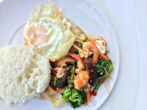 Vegetable блюдо stir-фрая с тайской здоровой едой stir-зажарило брокколи, гриб, морковь, hearb, кальмара и креветку с рисом и заж Стоковые Фотографии RF Vegetable блюдо stir-фрая с тайской здоровой едой stir-зажарило брокколи, гриб, морковь, hearb, кальмара и креветку с рисом и заж Стоковые Фотографии RF