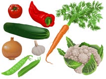 Vegetables Royalty Free Stock Photography Vegetables Royalty Free Stock Photography