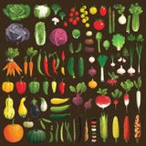 Vegetables. Great collection of the clip art vegetables Vegetables. Great collection of the clip art vegetables