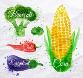 Vegetables Watercolor Corn, Broccoli, Chili, Royalty Free Stock Images Vegetables Watercolor Corn, Broccoli, Chili, Royalty Free Stock Images