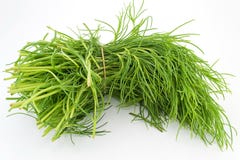 Vegetais de Agretti foto de stock royalty free Vegetais de Agretti foto de stock royalty free