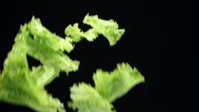 Vegetais novos suculentos frescos para cozinhar na cozinha queda das cebolas, da salsa e do aneto da mola no movimento lento filme Vegetais novos suculentos frescos para cozinhar na cozinha queda das cebolas, da salsa e do aneto da mola no movimento lento filme