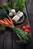Vegetais org?nicos em linha reta do jardim, cenouras, rabanete, br?colis, aspargo, tomates imagens de stock Vegetais org?nicos em linha reta do jardim, cenouras, rabanete, br?colis, aspargo, tomates imagens de stock