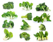 Vegetal choy dos brócolis e do Bok no fundo branco Fotos de Stock Vegetal choy dos brócolis e do Bok no fundo branco Fotos de Stock