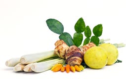 Vegetal do ingrediente imagem de stock