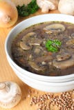 Vegetarian Buckwheat Soup With Mushrooms Royalty Free Stock Photography Vegetarian Buckwheat Soup With Mushrooms Royalty Free Stock Photography