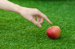 Vegetarians and fresh fruit and vegetables on the nature of the theme: human hand holding a red apple on a background of green gra. Ss studio Stock Photos Vegetarians and fresh fruit and vegetables on the nature of the theme: human hand holding a red apple on a background of green gra. Ss studio Stock Photos