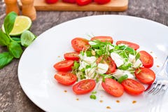 Vegetarische tomatensalade met Mozarella royalty-vrije stock afbeelding Vegetarische tomatensalade met Mozarella royalty-vrije stock afbeelding