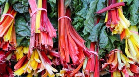 Veggies orgánicos de la mezcla del arco iris del cardo suizo en el mercado del granjero fotos de archivo libres de regalías Veggies orgánicos de la mezcla del arco iris del cardo suizo en el mercado del granjero fotos de archivo libres de regalías