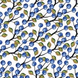 Vektor-Aquarell-Blaubeerniederlassungen nahtlos lizenzfreie abbildung Vektor-Aquarell-Blaubeerniederlassungen nahtlos lizenzfreie abbildung