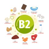 Vektoraffischprodukter med vitaminet B2 vektor illustrationer Vektoraffischprodukter med vitaminet B2 vektor illustrationer