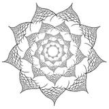 Vektorblommamandala bakgrundsdesignelement fyra vita snowflakes vektor illustrationer Vektorblommamandala bakgrundsdesignelement fyra vita snowflakes vektor illustrationer