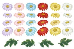 Vektorblumenillustration mit Chrysantheme Lokalisierte Elemente auf einem wei?en Hintergrund Unterschiedliches Farbgoldengänseblü lizenzfreie abbildung Vektorblumenillustration mit Chrysantheme Lokalisierte Elemente auf einem wei?en Hintergrund Unterschiedliches Farbgoldengänseblü lizenzfreie abbildung