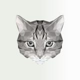 Vektorillustration av den låga poly kattsymbolen Geometrisk polygonal kattkontur Djur illustration för tatuering som färgar Royaltyfria Foton Vektorillustration av den låga poly kattsymbolen Geometrisk polygonal kattkontur Djur illustration för tatuering som färgar Royaltyfria Foton