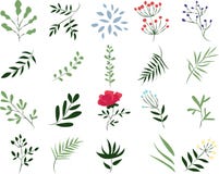 Vektorillustration av en växt på en vit bakgrund stock illustrationer Vektorillustration av en växt på en vit bakgrund stock illustrationer